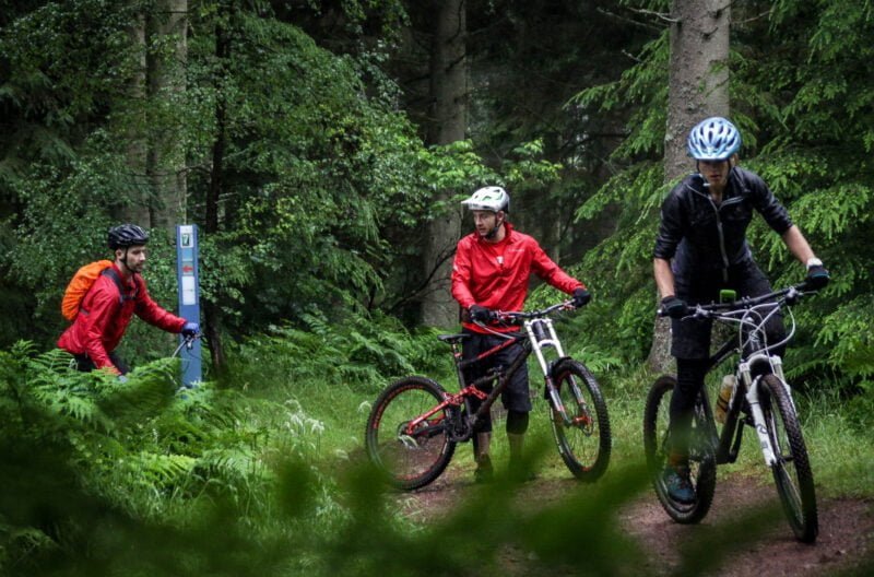 MTB Coaching at Glentress MTB Coaching at Glentress